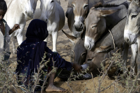 Niger
