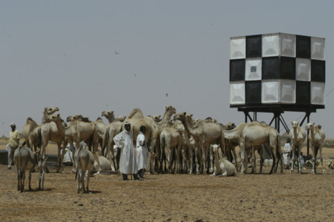 Darfur