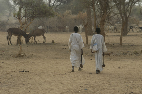 Darfur