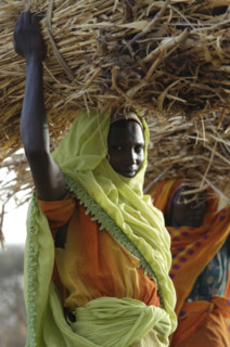 Darfur