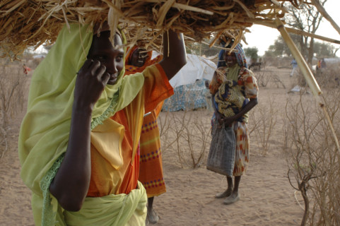 Darfur