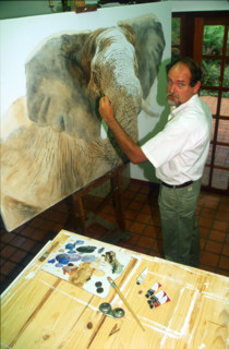 Kim Donaldson - Wildlife Painter
