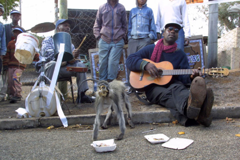 streetband1.jpg