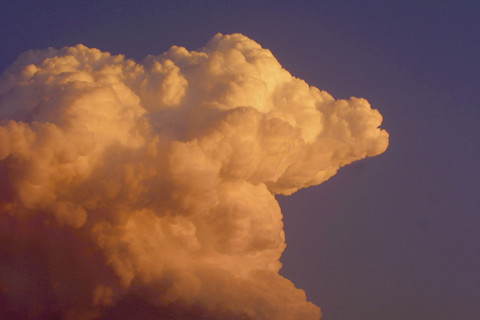 cowcloud.jpg