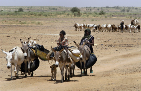 Nomads are seen with their animals at the Salt Cure festival drawing nomads from all over the