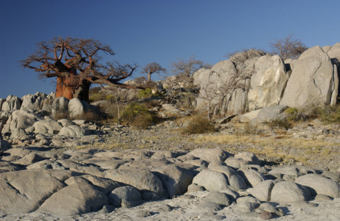 Kubu Island. Magadigadi Pans