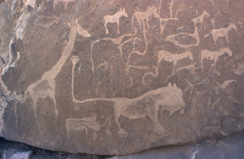 Rock Engravings