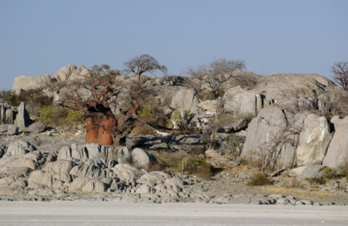 Kubu Island. Magadigadi Pans