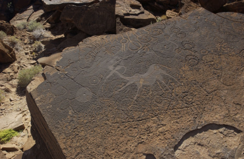 Rock Engravings