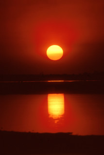 Chobe sunset
