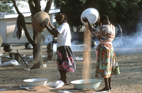 Ladies cleaning Sorghum