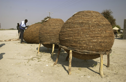 Basket making