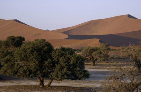 Red Dunes