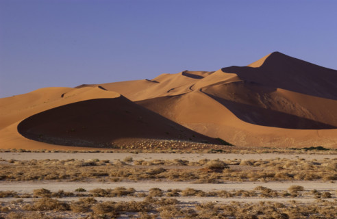 Red Dunes