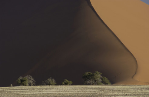 Red Dunes