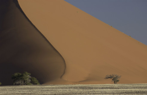 Red Dunes