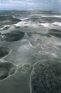 Makgadikgadi Pans