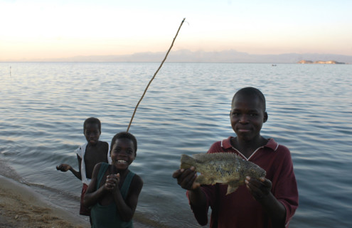 Malawi