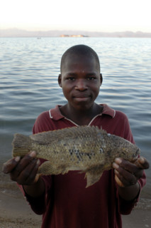 Malawi