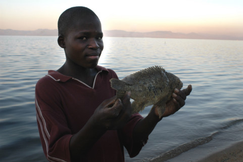 Malawi