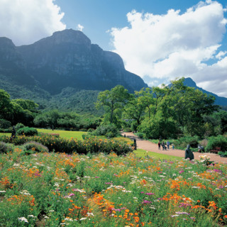 KIRSTENBOSCH NATIONAL BOTANICAL GARDENS