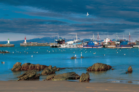 KALK BAY HARBOUR