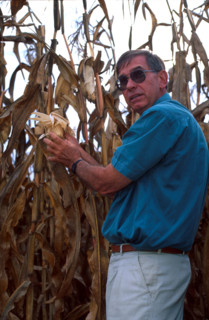 a farmer diplays his mielies