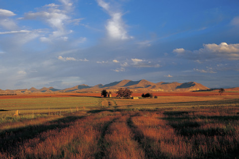 FREE STATE FARMLANDS