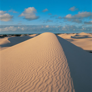 SAND DUNES