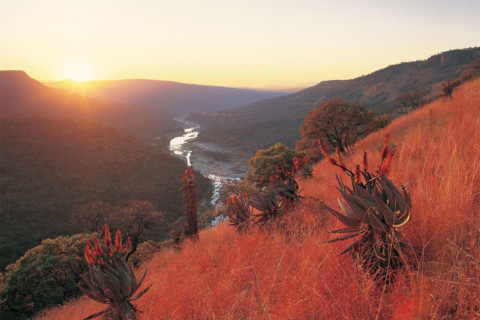 ANGLO-ZULU BATTLEFIELD,