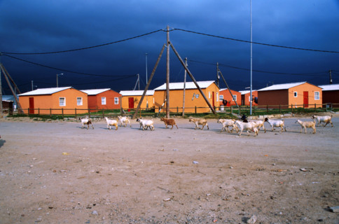 low cost housing