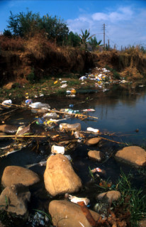 plastic pollution