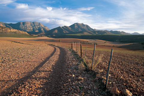 A FARM ROAD IN THE LITTLE KAROO