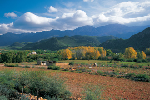 FARMLANDS IN THE LITTLE KAROO
