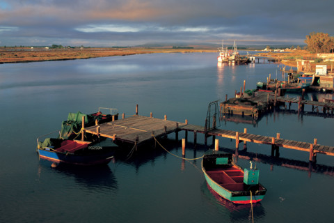 FISHING BOATS AT VELDDRIF