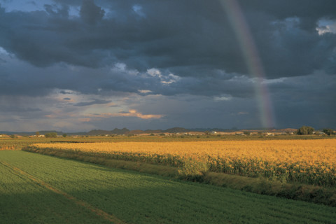 ORANGE RIVER VALLEY