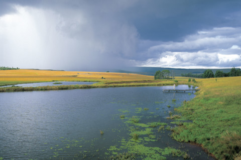 TROUT WATERS
