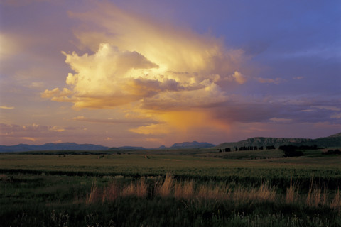 GATHERING STORM CLOUDS