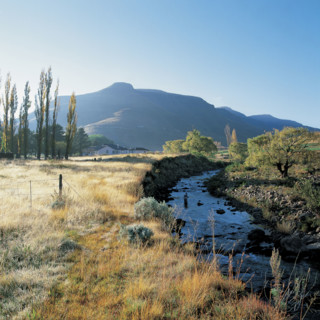 TROUT FISHING