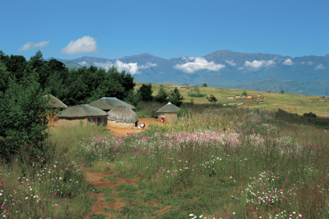 ZULU HUTS