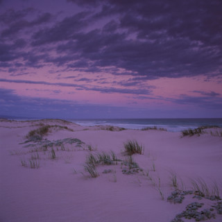 SAND DUNES