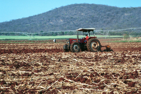 Zimbabwean agricultural production