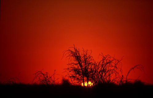 Sunset2