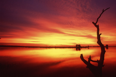 SS417