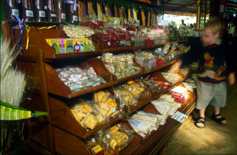 child in a sweet shop
