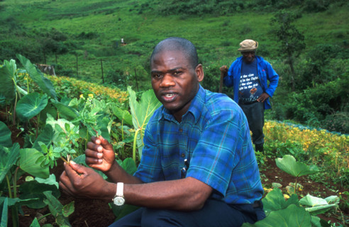 indigenous foods