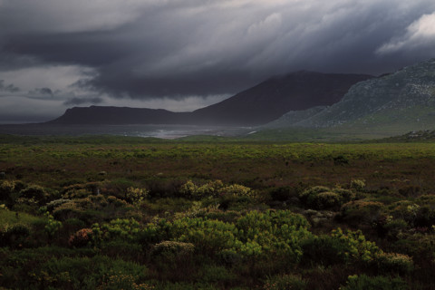 The Cape of Storms