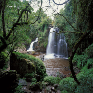 Horseshoe falls