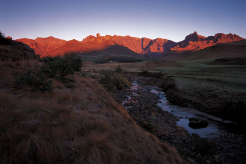 DRAKENSBERG GARDEN