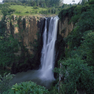 HOWICK FALLS